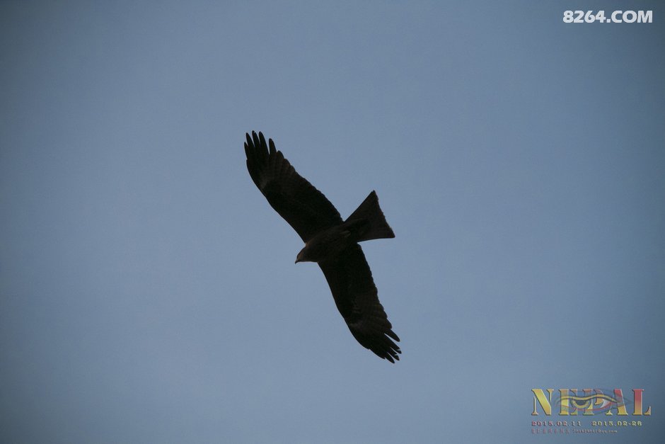 有一条去尼泊尔的路,我要走到老。---二月十二