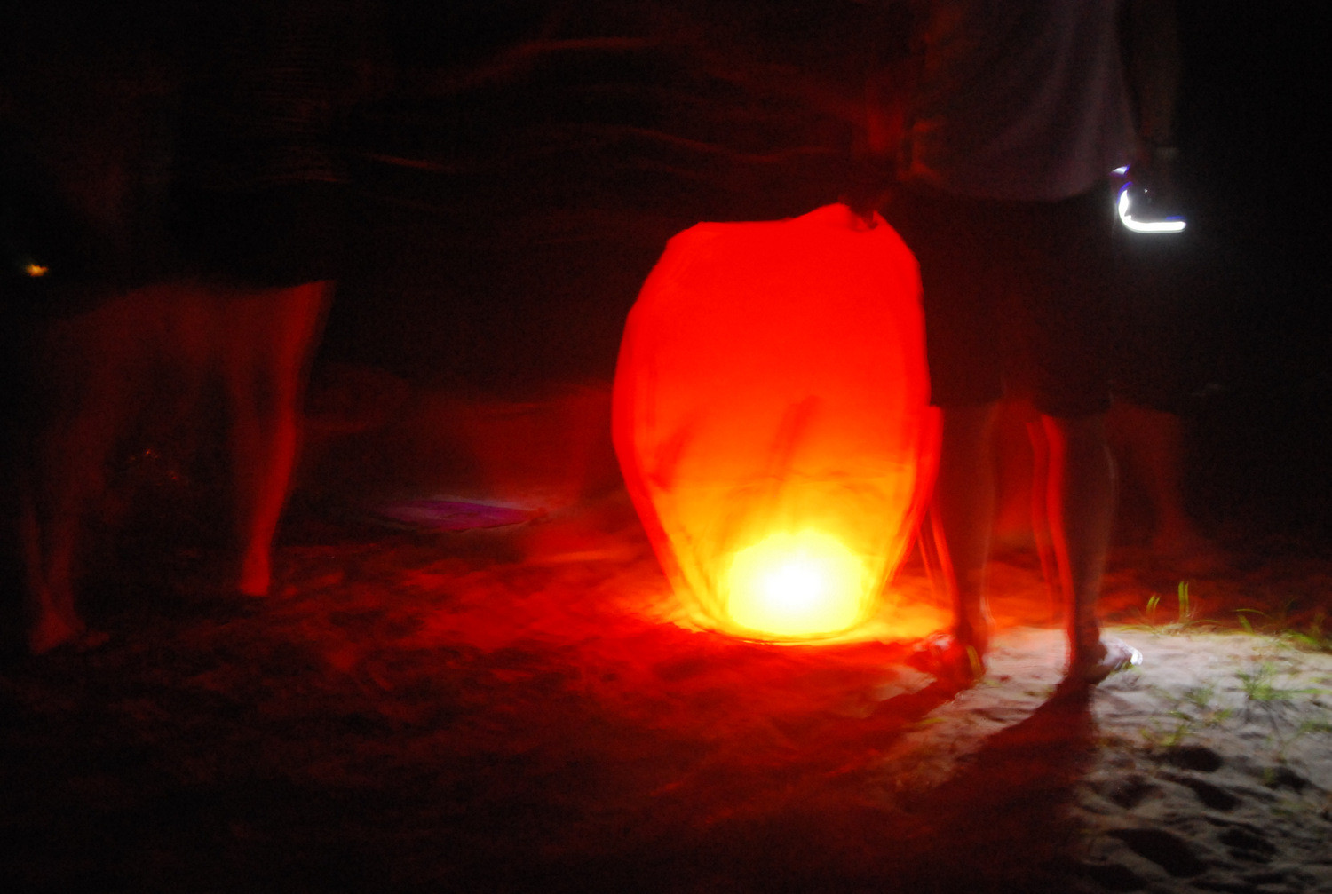 2011.6福鼎小白鹭沙滩 - 户外资料网8264.com