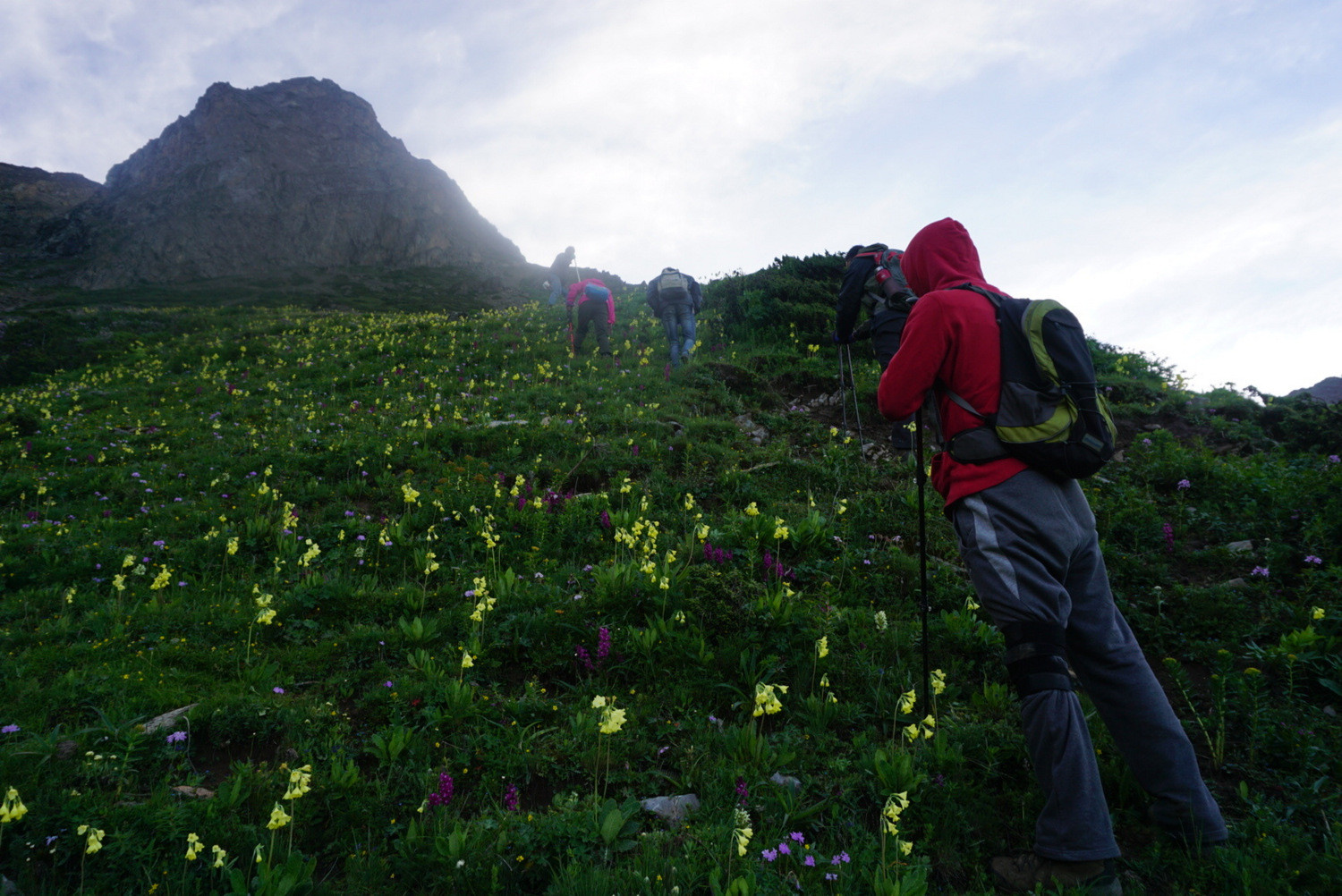 狮子王峰 - 户外资料网8264.com