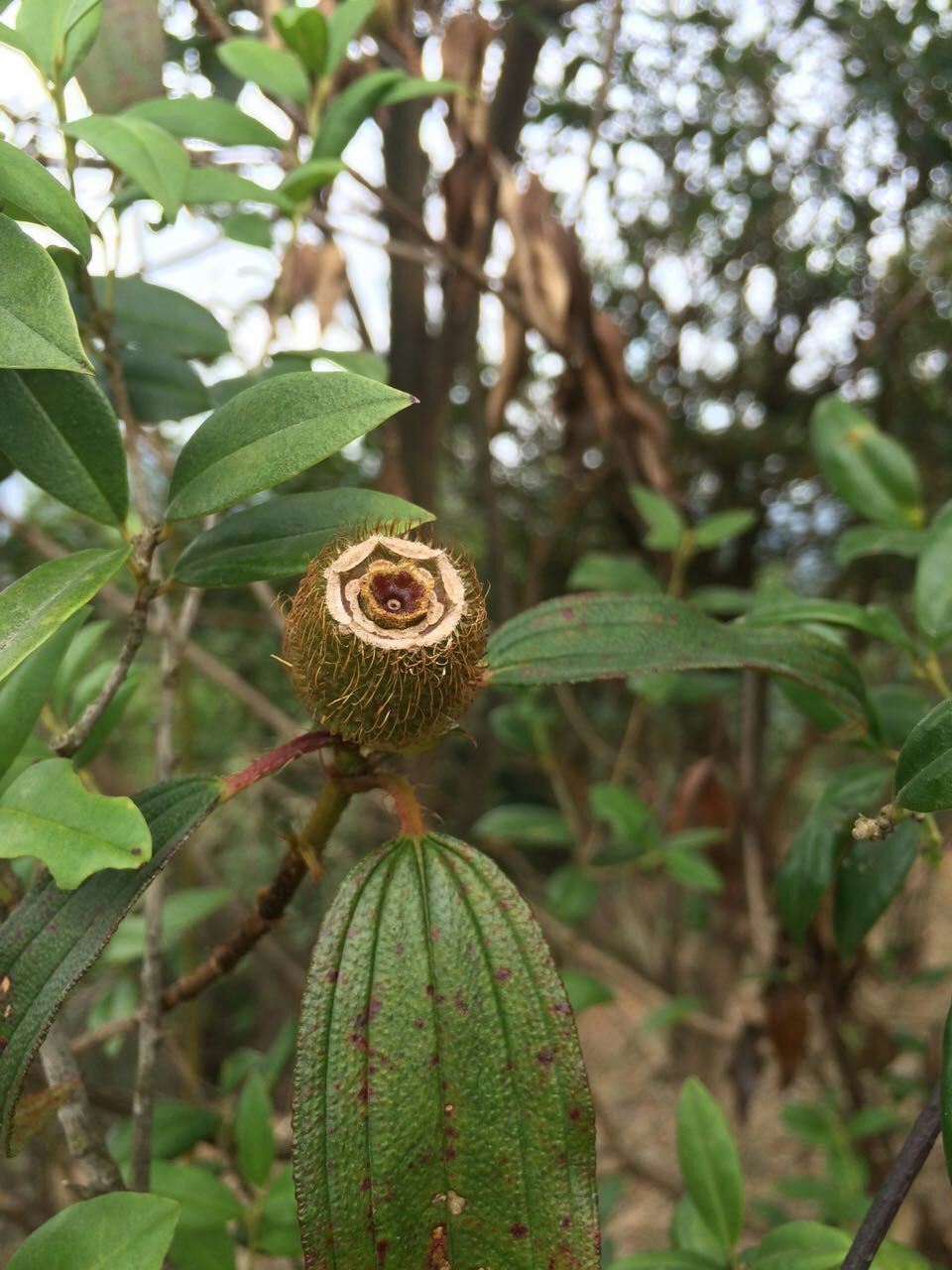 双合村至古寨沟 - 户外资料网8264.com