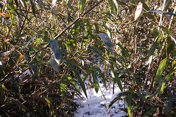 一个人的冬七尖 - 哥是独行侠的相册 - 户外资料