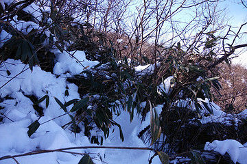 一个人的冬七尖 - 哥是独行侠的相册 - 户外资料