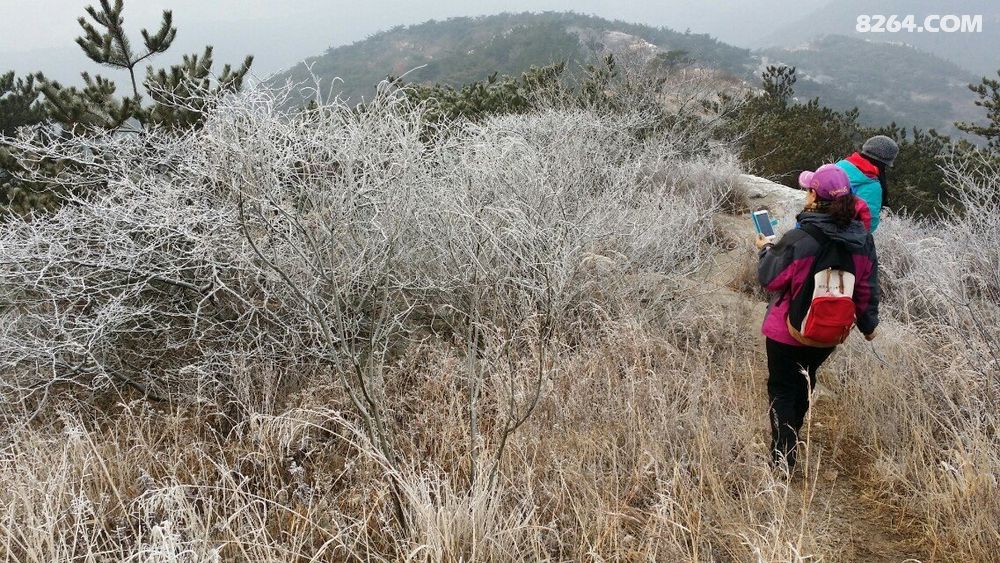 大连山夫户外小平岛黄泥川穿越回顾 - 第3页 - 