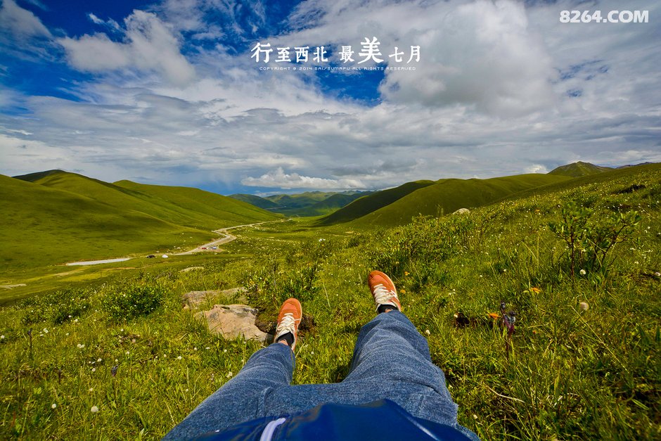 青海湖畔 | 我们有酒,想听你的故事! - 青海 - 826