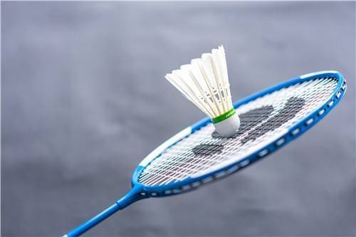 扣杀球从击球点距( )的位置可分为:正手扣杀、头顶扣杀和反手扣杀 - 户外学校 - 8264.com