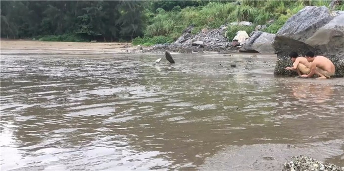 �����⼼�ܡ�����ڻ��������ԣ���Ϊ�������