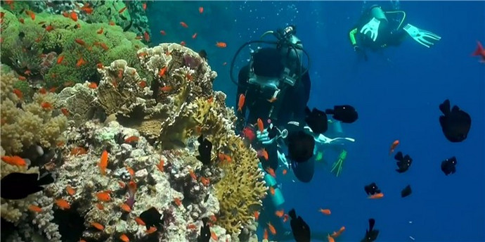 �����⾫�ʡ�ˮ�׵ľ������磬�������������������ջ�