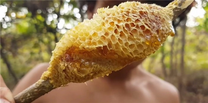 �����⼼�ܡ�ԭʼʱ�����۷�����