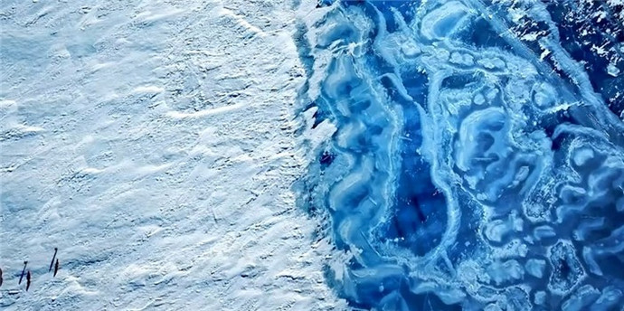 �������˶�����Ļ����˶��ͱ��˵Ļ����˶��ƺ���̫һ����