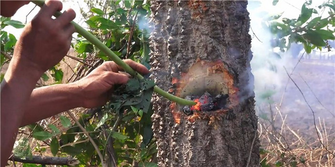 �����⼼�ܡ�����ԭʼ�����������Ұ����ľ̿����