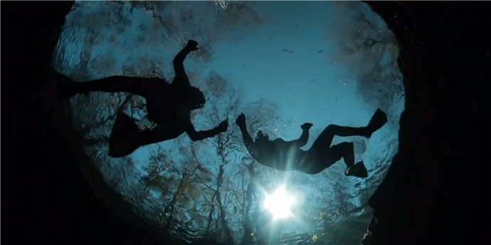 �������˶����������ֲ�������ɭ����Ǳˮ