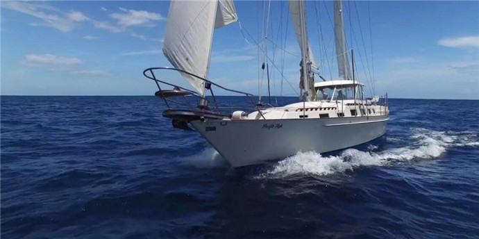 �������˶��������������ɣ����ŷ��������ں�����