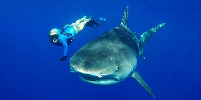 ������̽�ա����׵����磬������������Ӵ���������