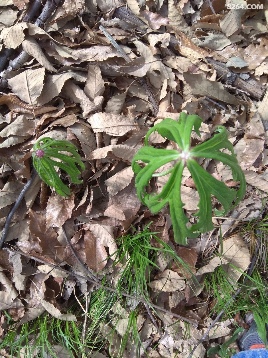 重渡沟后山一日游