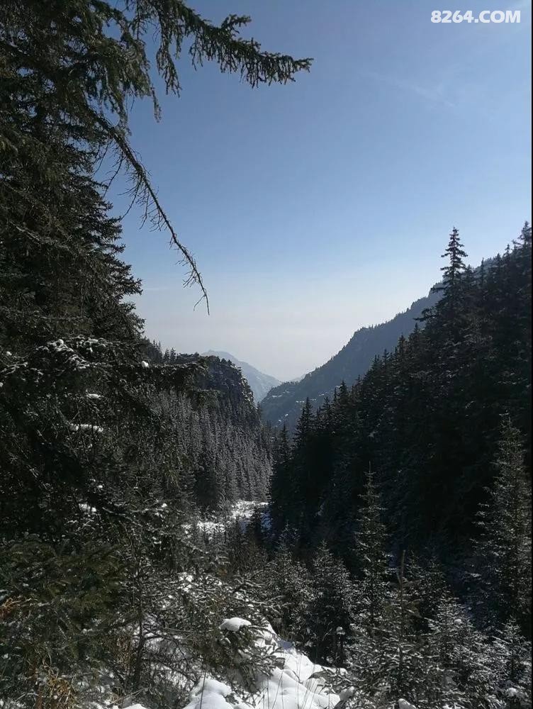 一路山程,送去夏日一阵清凉