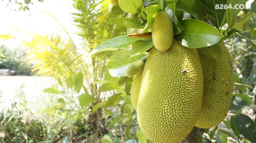 234644it5w99w7qpwg3ipx.jpg!t3w825h0