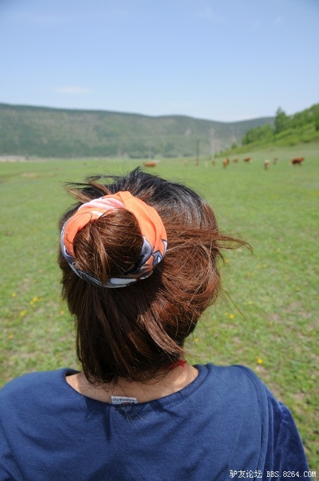 诗般的意境 仙境般的唯美--小美林村 - 美林谷风