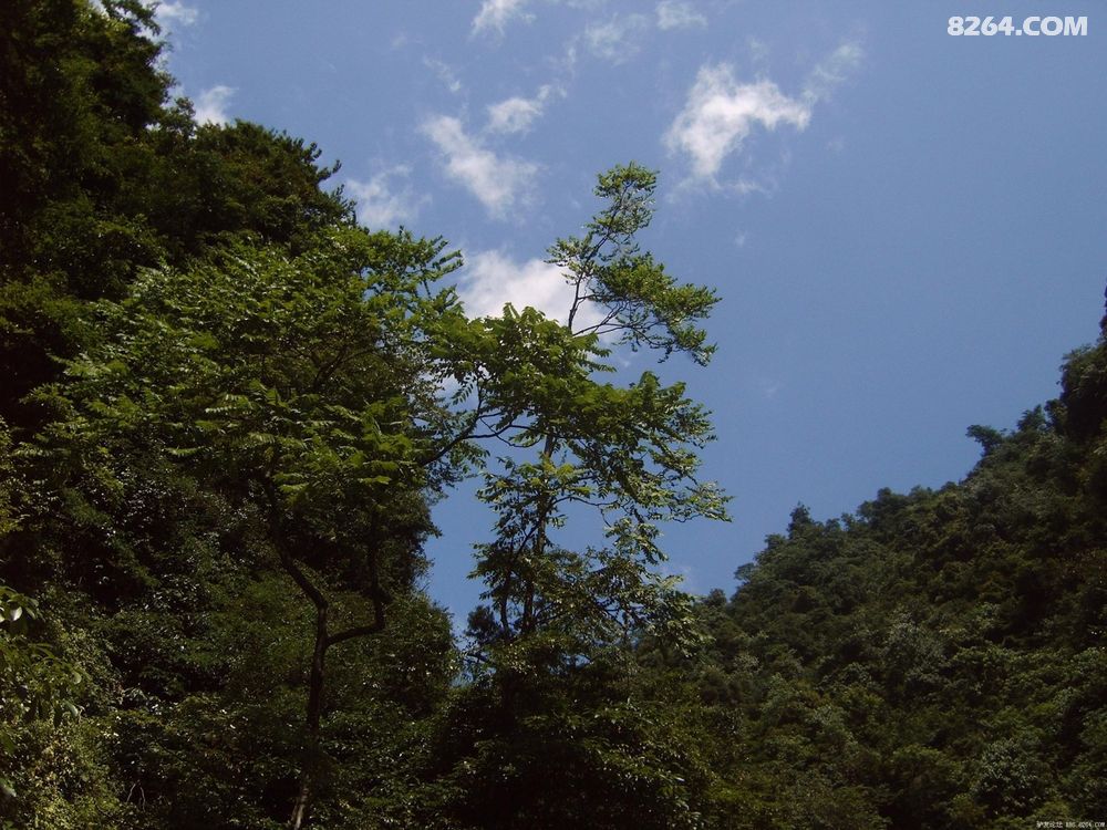 青云下 乌云崖 唐佳山谷溯溪行 - 我秀我户外 -