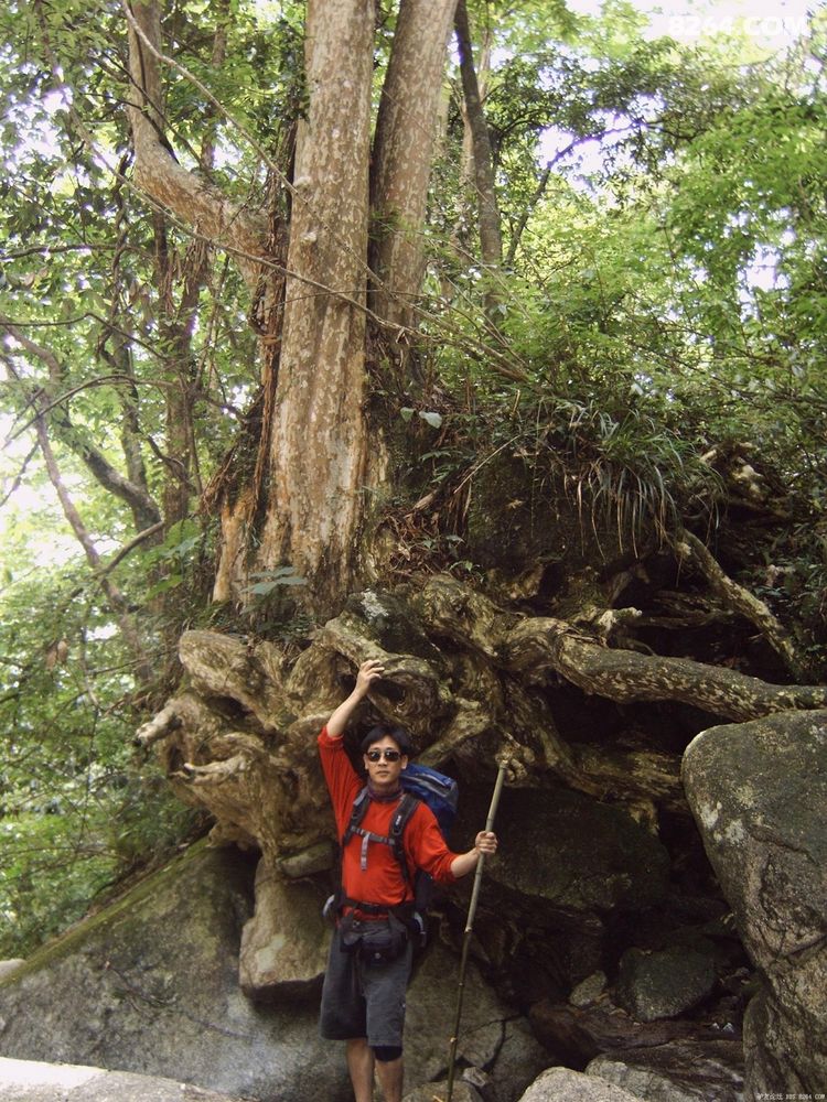 青云下 乌云崖 唐佳山谷溯溪行 - 我秀我户外 -