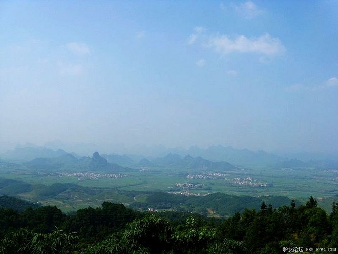 《采蜂蜜挖竹笋摘茶叶吃野果捡八角登高山香菇