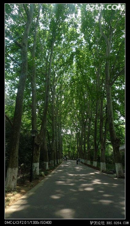 连载 《路,在延伸--两万里海岸线单车日记》(更