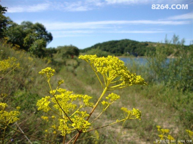 中国--朝鲜--俄罗斯三国交界延边朝鲜族自治州