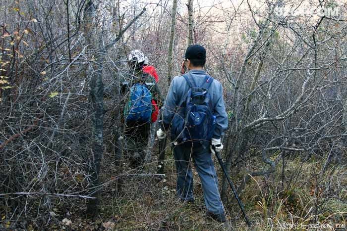 披荆斩棘探新路,景区连穿走七步 - 第1页 - 河北
