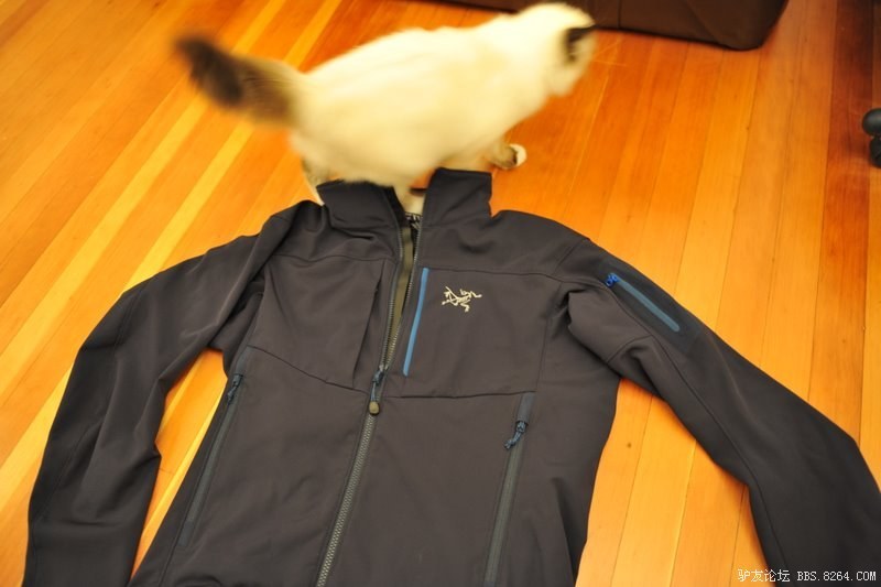 -响尾蛇SV向导级别-277楼所在28页-始祖鸟发