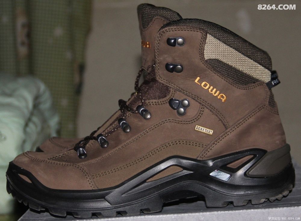 香港带回来的lowa RENEGADE GTX MID,上图
