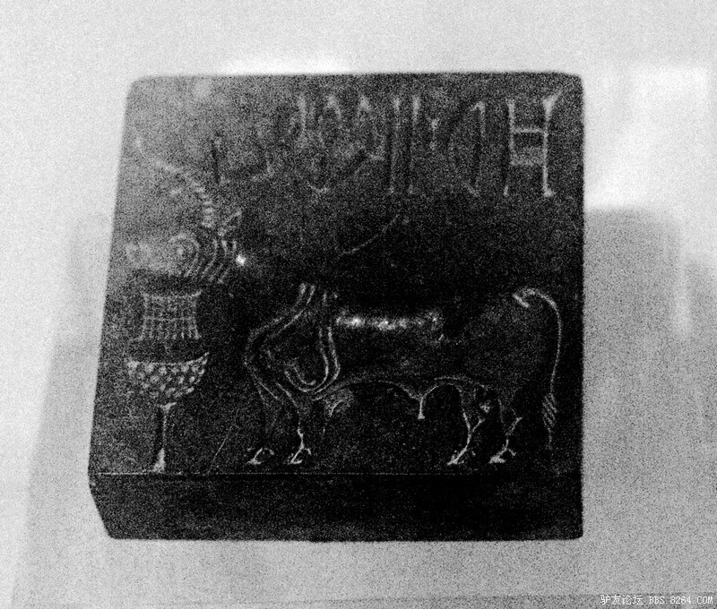 记录印度(20110924-20111014) 更新在新德里