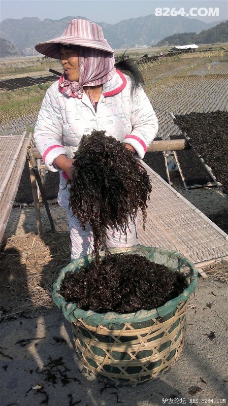 单车中国,这是浙江离福建交界不远处 - 第1页 -