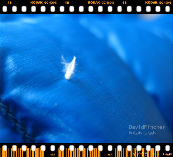 关于羽绒服钻绒后,对钻出绒毛的处理方法,拔毛