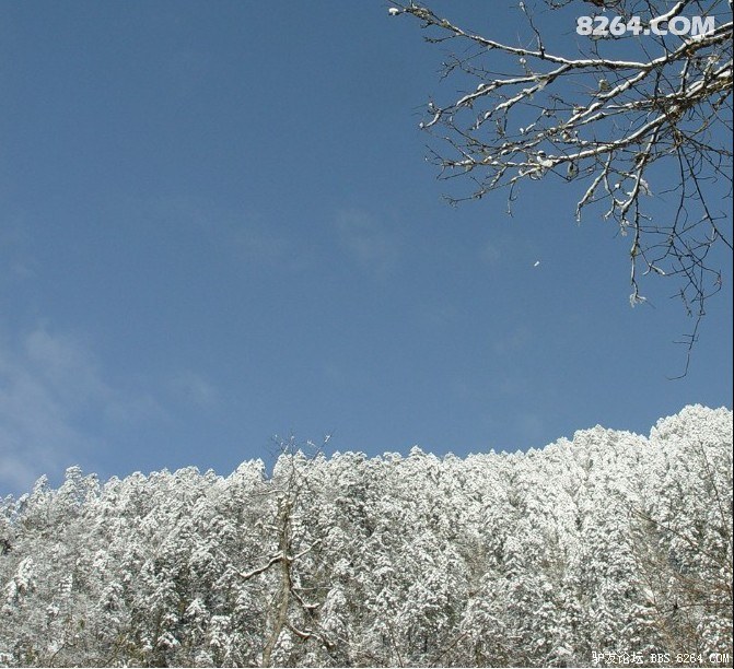 四川小九寨 穿越鸡冠山森林公园 不走寻常路[崇