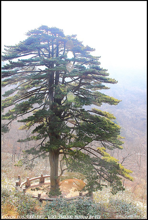 2012.2月冬游黄山之云端上的世界,附自助全攻