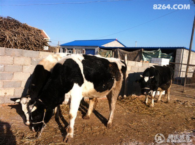 身携90元走遍中国 再穷也要旅行 徒步搭车环绕