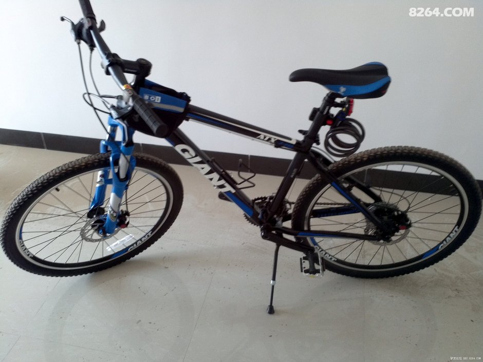 捷安特老总_捷安特自行车(2)