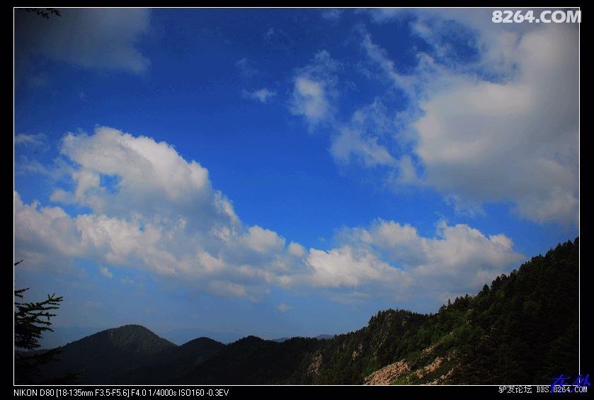 太白~想说爱你不容易!开始填坑6楼经典~~91楼