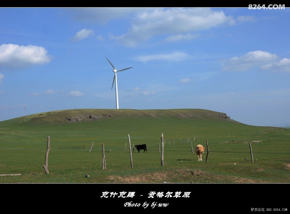{我用心去}.