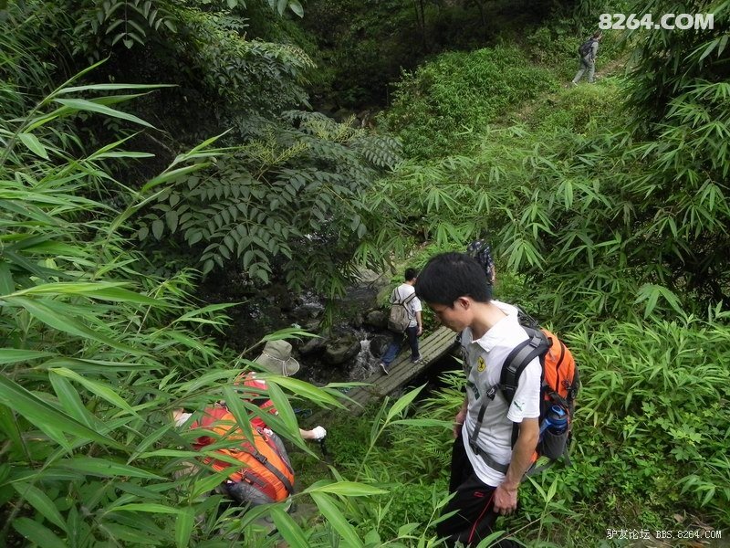 7月15日山洞-森林公园徒步穿越腐败PP!