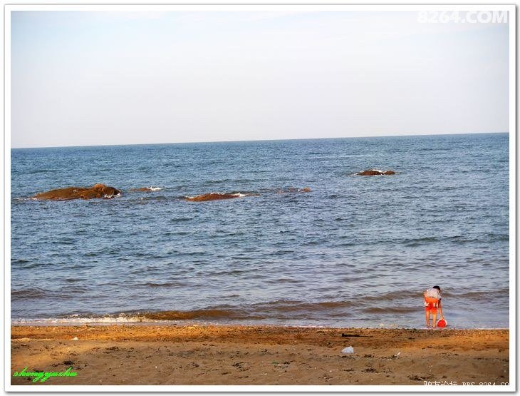 原创八千里路云和月,天苍野茫草绿花黄见牛羊