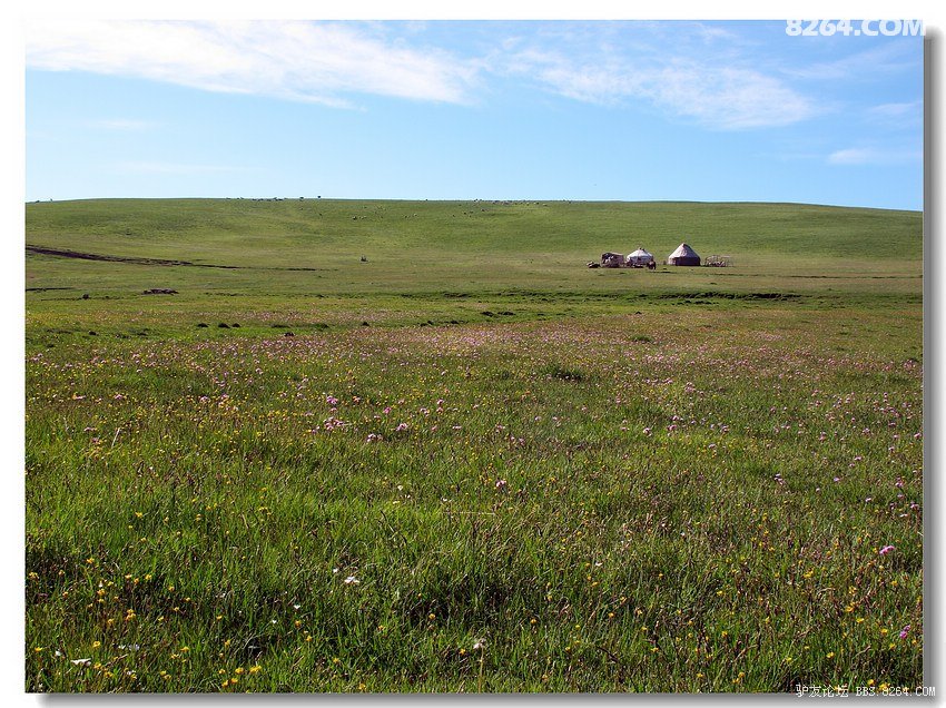 6月·花季(新疆、甘南班车行)全文完