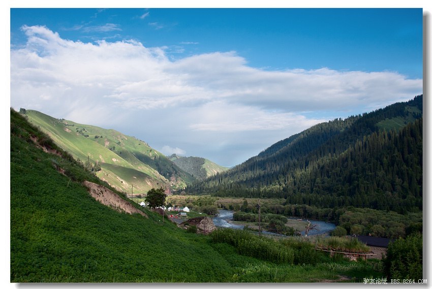 6月·花季(新疆、甘南班车行)全文完 - 中国|新