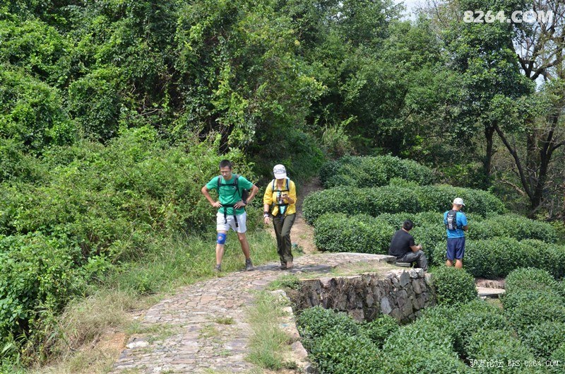 癫行天下--千八拉练轻装徒步霸气归来 - 第1页