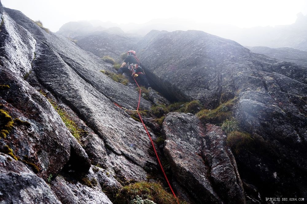 快讯:国内山友默竽 晕晕狼部分新线路登顶婆缪