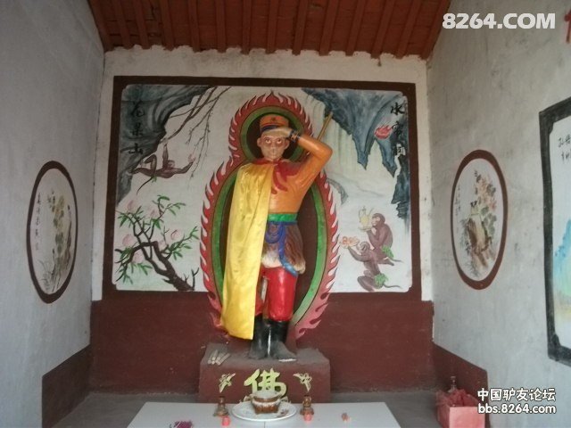 秋天二上双凤山 小黄菊花开山间