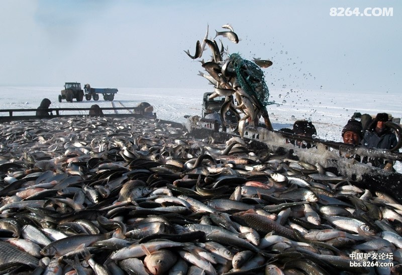 天涯户外 北国冰雪风光-坝上草原 金山岭长城赏