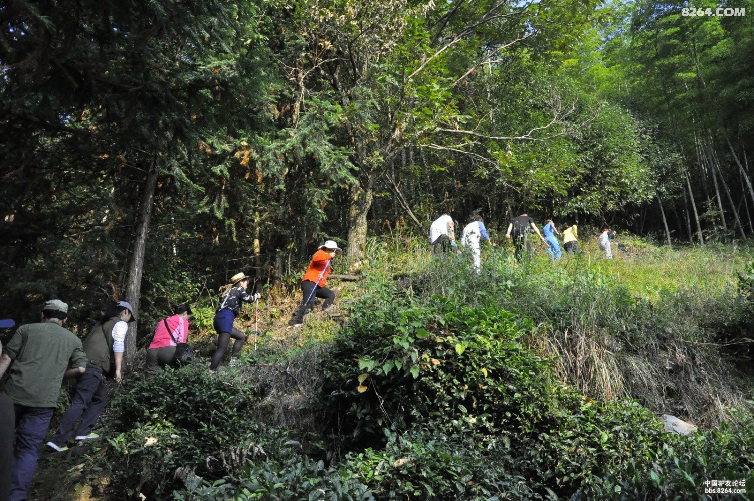 交作业啦!~牧云人户外木梨硔之行照片!~ - 第1