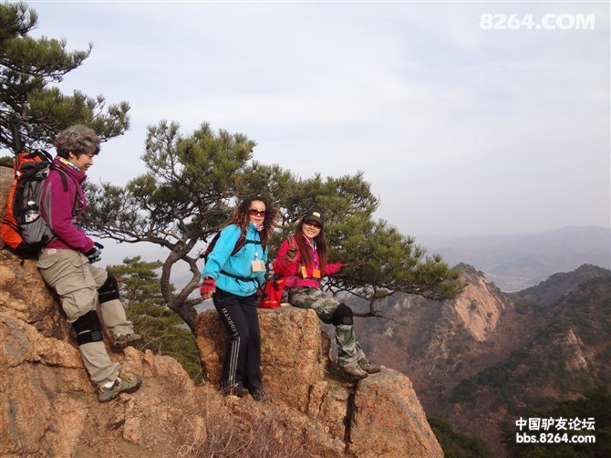 11月10号 周六AA招集8264黄埔三期+精英领队