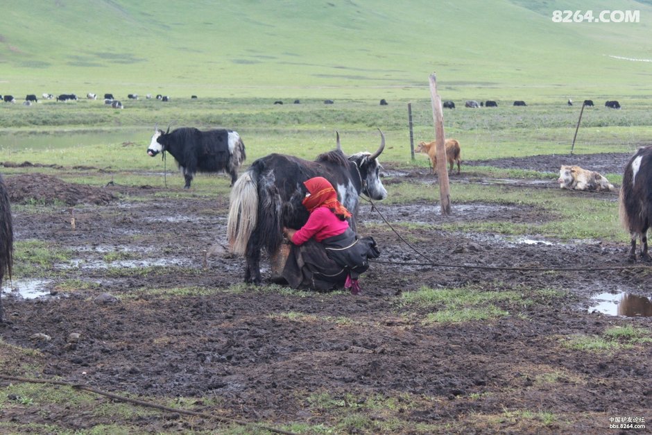 末日旅行 这年雨季,我们一起走过的壮美川西北