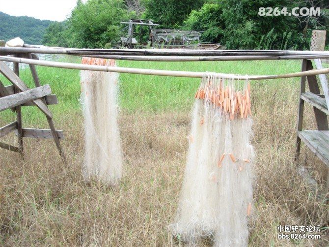 花都福源水库休闲徒步、露营、钓鱼、网鱼、烧